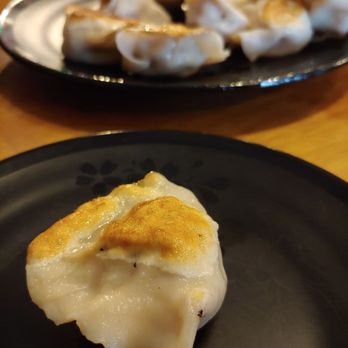 Palace Dumplings - Perfectly fried dumpling - Chinese Near Me - Wappingers Falls, New York Palace Dumplings - Perfectly fried dumpling - Chinese Near Me - Wappingers Falls, New York