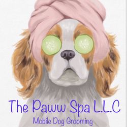 The Paww Spa