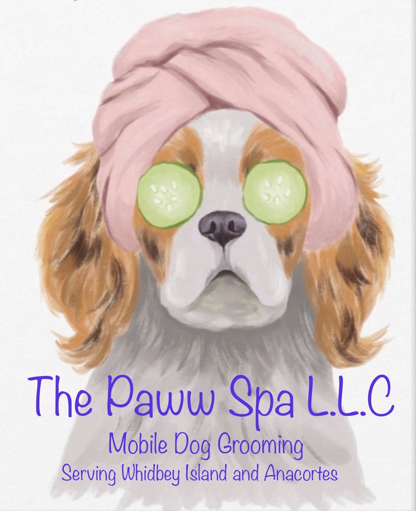 The Paww Spa Image