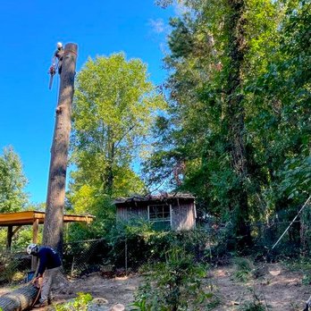 M&G Tree Service - Tree Removal - Tree Services Near Me M&G Tree Service - Tree Removal - Tree Services Near Me