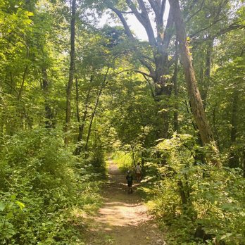 Moon Park - Parks Near Me - Moon, Pennsylvania
