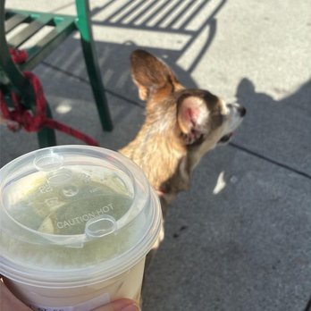 Happy Lemon - Coffee & Tea Near Me - Gilroy, California Happy Lemon - Coffee & Tea Near Me - Gilroy, California