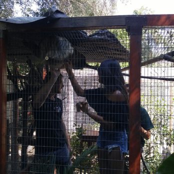 Wildlife Learning Center - They paid $100 to pet a sloth - Zoos Near Me - Sylmar, California