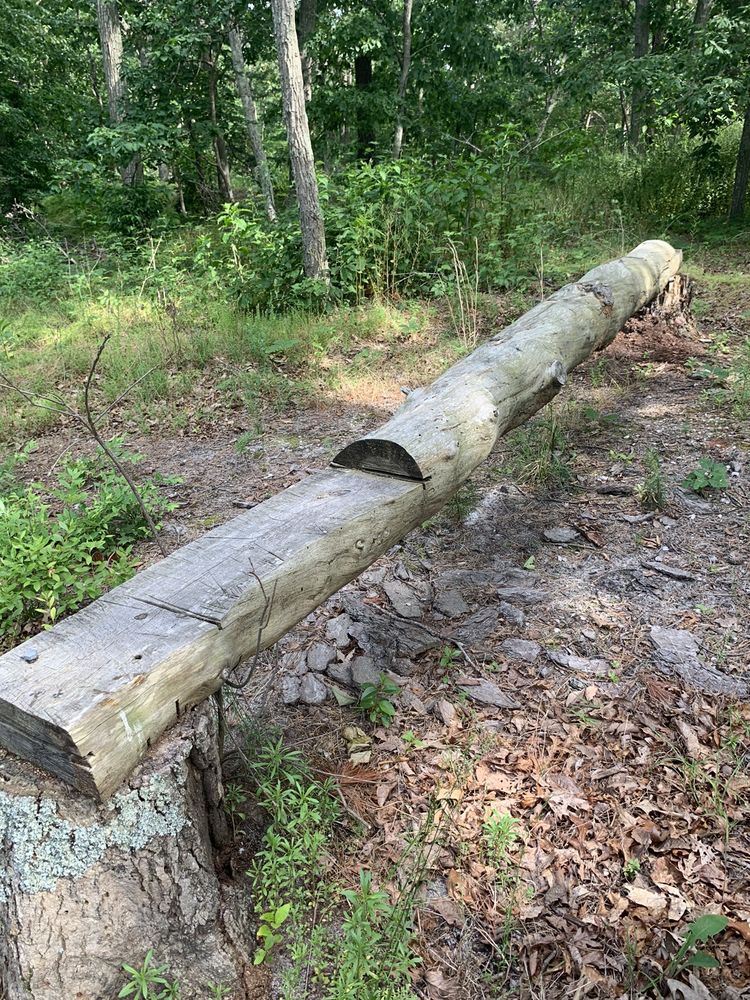 WHIPPOORWILL CAMPGROUND Updated June 2024 39 Photos & 18 Reviews