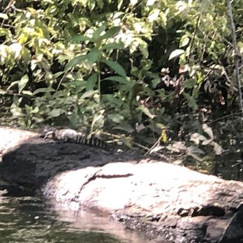 Sea Serpent Tour - Boat Tours Near Me - Saint Augustine, Florida