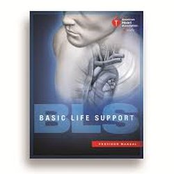 Rapid Response Training - BLS classes and skills