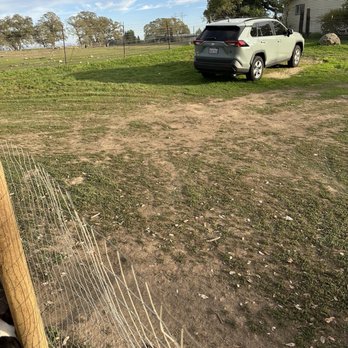 Ashtons Yard Maintenance - Side yard - Lawn Services Near Me Ashtons Yard Maintenance - Side yard - Lawn Services Near Me