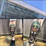 Photo of The Ink Elephant