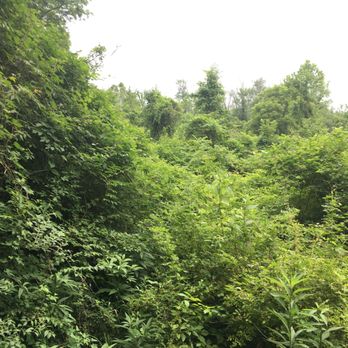 Jim King Trail - Hiking Near Me - Louisville, Kentucky Jim King Trail - Hiking Near Me - Louisville, Kentucky