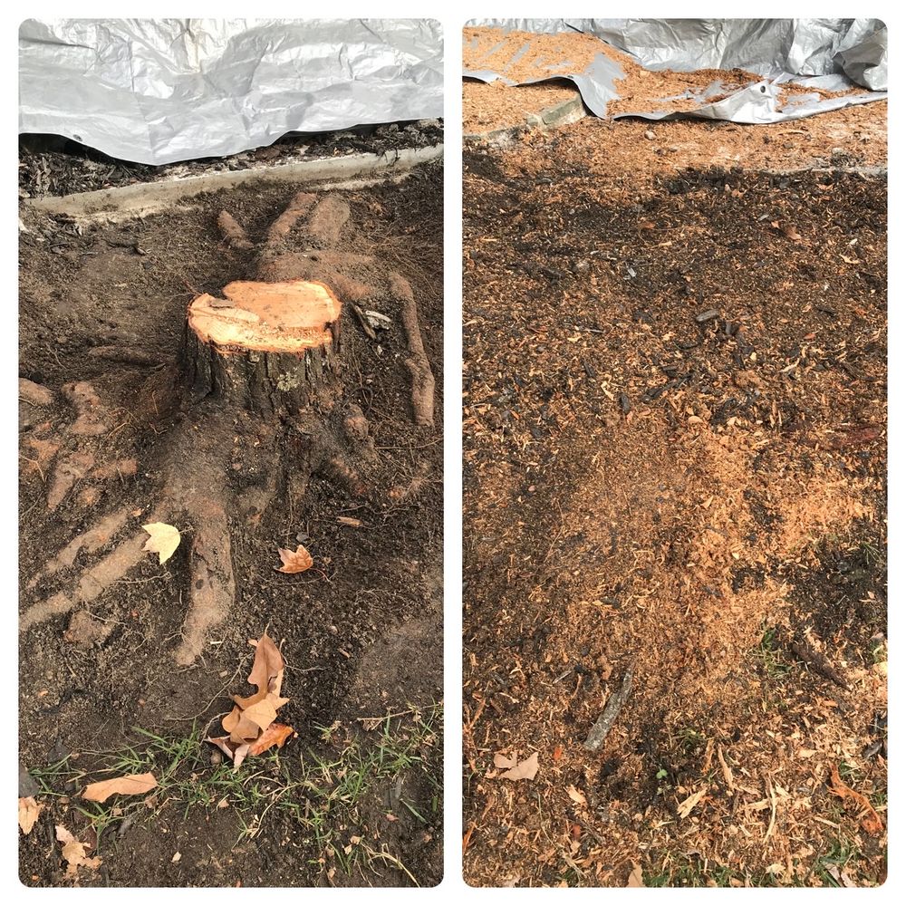 Stumps 2 Go - tree service in Charlotte, NC