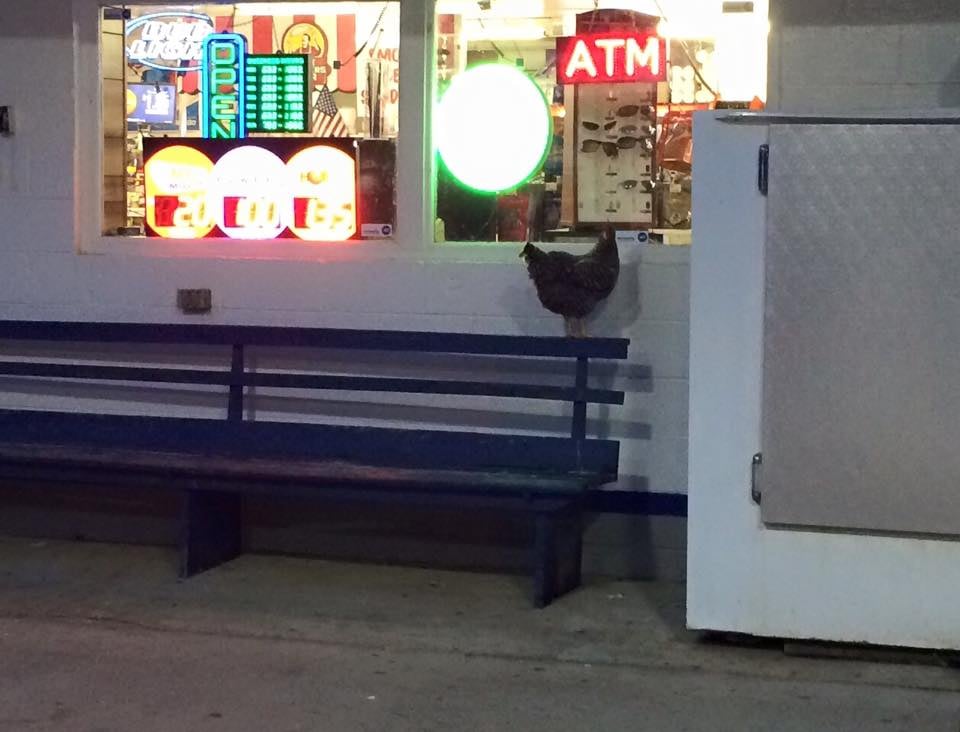 BIG AL’S MARKET Updated May 2024 3108 Ralph Phelps Rd, Louisville, Tennessee Convenience