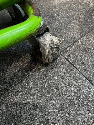 SM City North EDSA by null