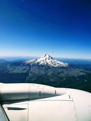 Mt Hood by null