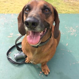 Spending time with my best bud. Spending time with my best bud.