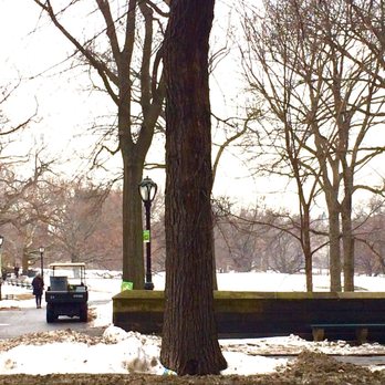 East Meadow - 01/11/18 - Parks Near Me East Meadow - 01/11/18 - Parks Near Me