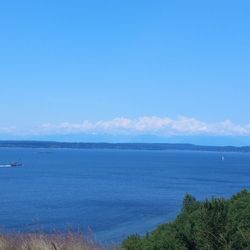 Magnolia Viewpoint