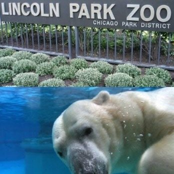 Lincoln Park - Front of Lincoln Park Zoo - Parks Near Me - Chicago, Illinois