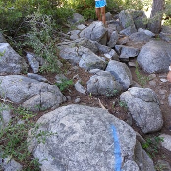 Shirley Lake Trail - Just follow this blue line throughout the hike and it will take you no more than 3 hours to reach high camp. - Hiking Near Me - Olympic Valley, California Shirley Lake Trail - Just follow this blue line throughout the hike and it will take you no more than 3 hours to reach high camp. - Hiking Near Me - Olympic Valley, California