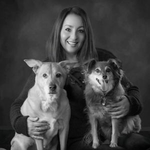 CRAIG ROAD ANIMAL HOSPITAL - Updated April 2025 - 270 Photos & 553