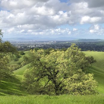 Shell Ridge Open Space - Hiking Near Me - Walnut Creek, California