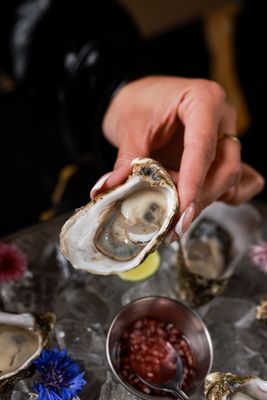 Kaluú Upscale Mexican & Lounge by null