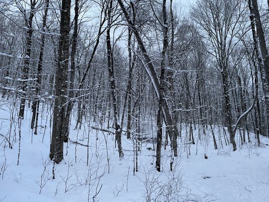 Arrowhead Provincial Park by null