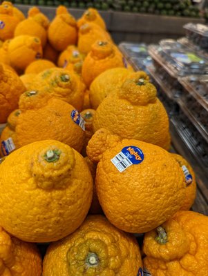 Whole Foods Market by null