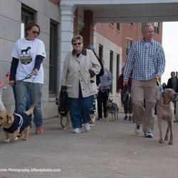Bangor Pet Resort & Spa