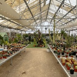 Botany