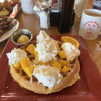 Toasted Mango Cafe - Cafes Near Me - Sarasota, Florida