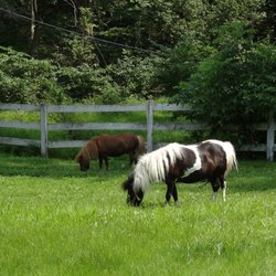 Hilltop Ranch