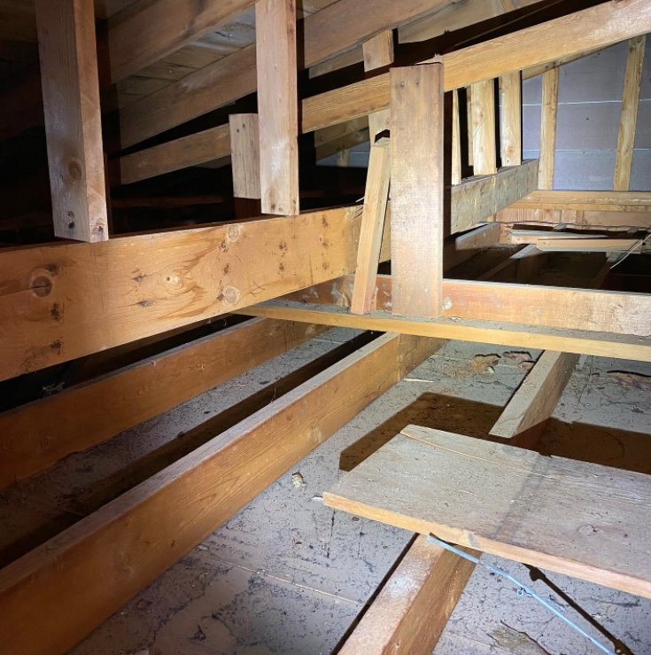 Method - mold inspector in Springfield, MO