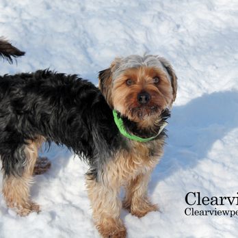 Clearview Pet Care Centre - Pet Boarding Near Me - Omaha, Nebraska