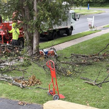 Smart Tree Solutions - Tree Services Near Me Smart Tree Solutions - Tree Services Near Me