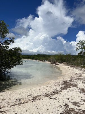 Playa La Jungla by null