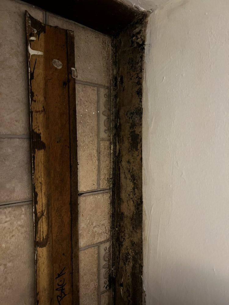 Slide of A Touch of Anne Restoration & Cleaning