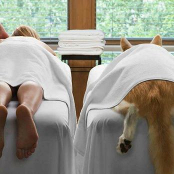 Burleson Massage - Massage Therapy Near Me - Burleson, Texas Burleson Massage - Massage Therapy Near Me - Burleson, Texas