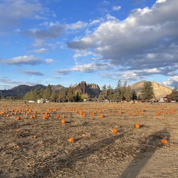 Smith Rock Ranch - Archery Near Me - Terrebonne, Oregon
