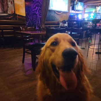 Pizza Beer & Jukebox - Ollie having his best night out - Pizza Near Me - Chicago, Illinois