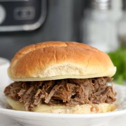 Lee's Snack House - Pulled Pork Sandwich