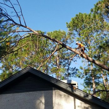 Southern Tree Removal - EMERGENCY TREE REMOVAL WE GO WHERE OTHERS CAN'T - Tree Services Near Me