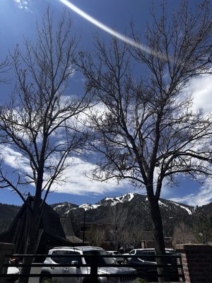 Scout Wine & Cheese by null