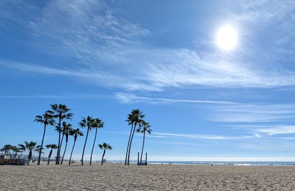 Venice beach Boardwalk by null