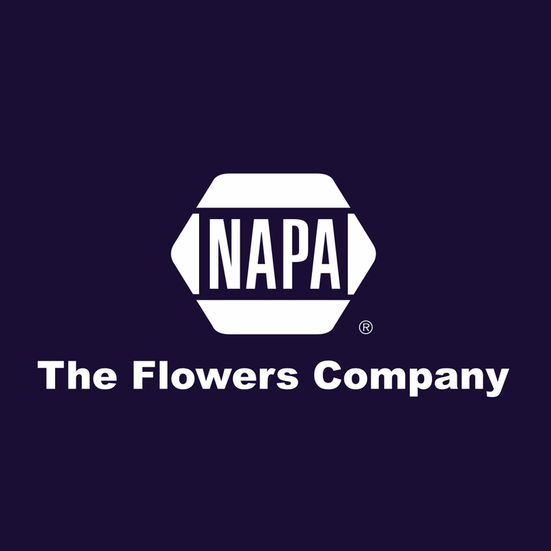 NAPA AUTO PARTS FLOWERS AUTO PARTS Updated August 2024 935 US Hwy