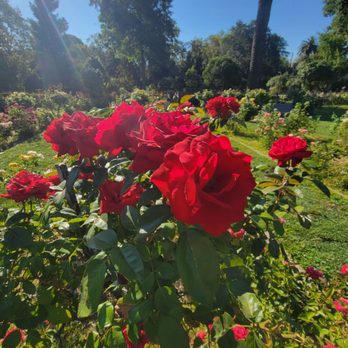 McKinley Park - Parks Near Me - Sacramento, California McKinley Park - Parks Near Me - Sacramento, California
