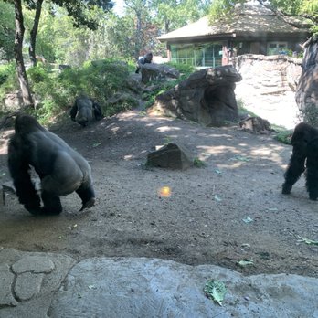 Dallas Zoo - Zoos Near Me - Dallas, Texas