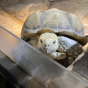 Austin Aquarium - Aquariums Near Me - Austin, Texas Austin Aquarium - Aquariums Near Me - Austin, Texas