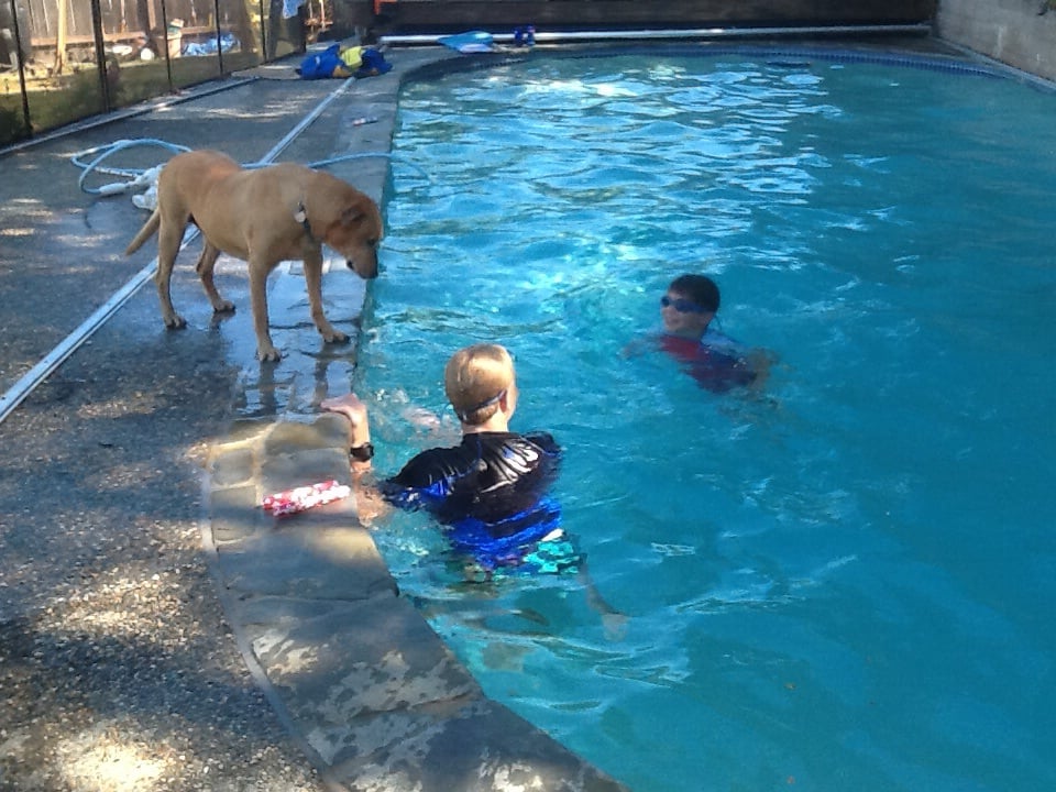 San Mateo Swim Updated August 2025 San Mateo California Swimming