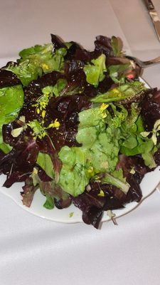 Stella West Hollywood by null Stella West Hollywood by null