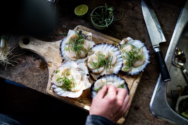 Tofino Resort + Marina by null